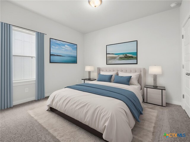 1513 Passmore Downs, New Braunfels, TX 78130 - carpeted bedroom with baseboards