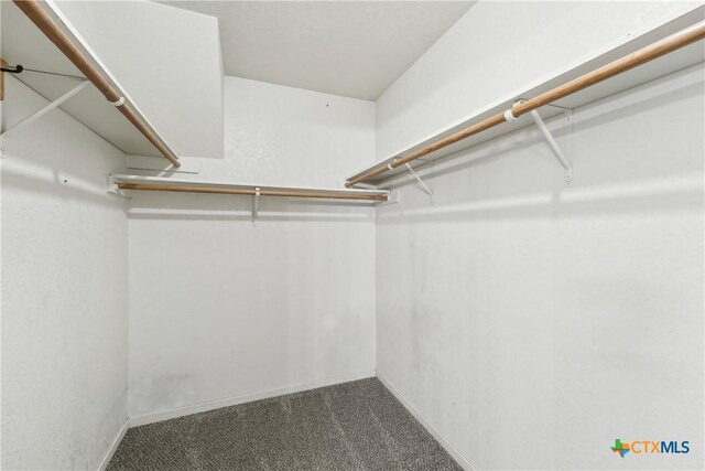 3400 Sally Cir, Kempner, TX 76539 - spacious closet featuring carpet floors