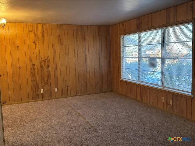 carpeted empty room featuring wooden walls