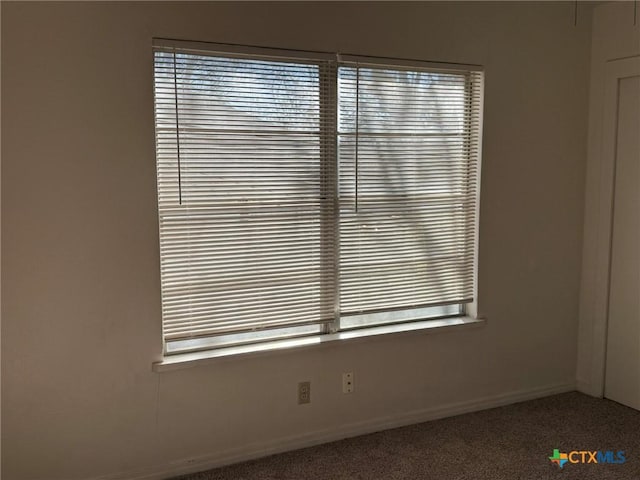 interior space featuring carpet