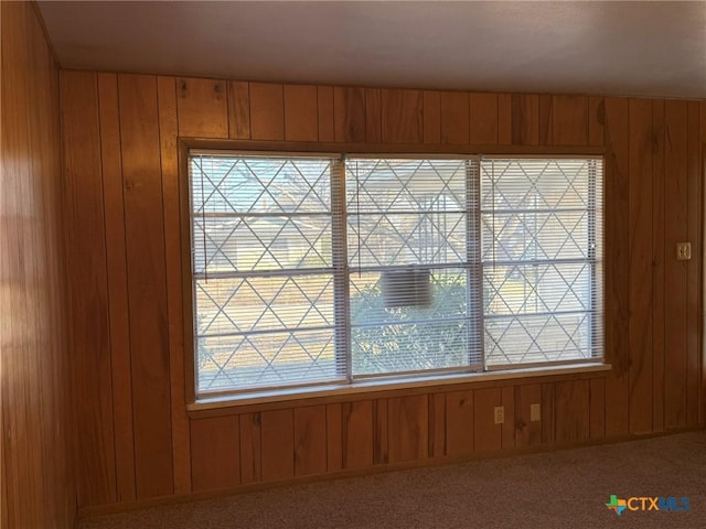 interior details featuring carpet flooring and wooden walls