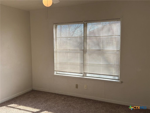 empty room with carpet floors and a healthy amount of sunlight