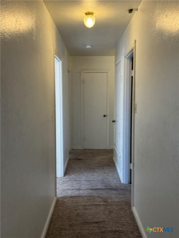 hall featuring carpet flooring