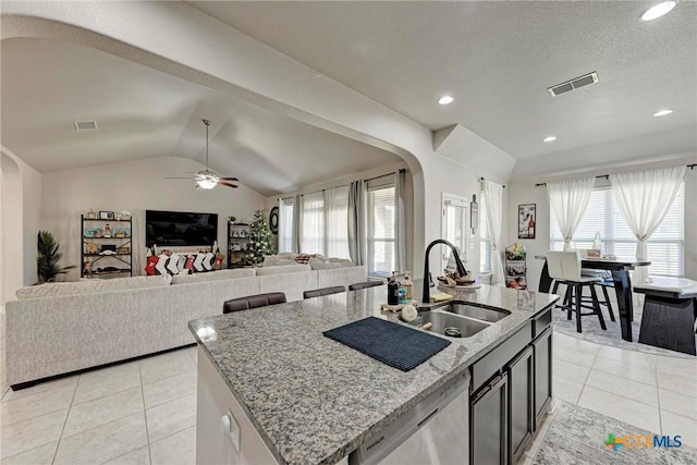 kitchen featuring sink, lofted ceiling, an island with sink, and a wealth of natural light