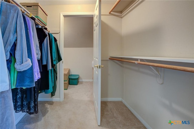 spacious closet featuring carpet flooring