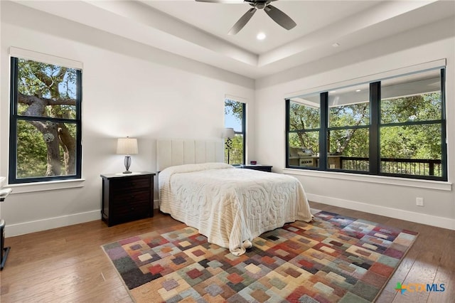 1204 Salt Lick Dr, New Braunfels, TX 78132 - bedroom with wood-type flooring, a tray ceiling, recessed lighting, and ceiling fan