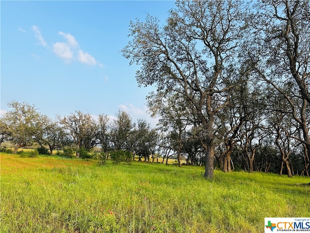 100 S Waterbuck Way, Lampasas, TX 76550