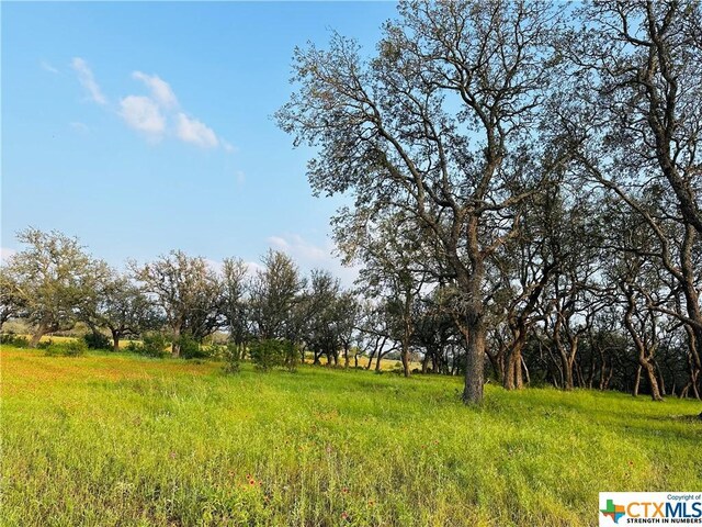 100 S Waterbuck Way, Lampasas, TX 76550 - photo 14