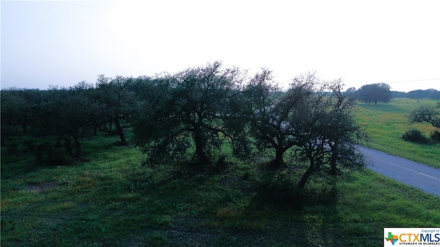 100 S Waterbuck Way, Lampasas, TX 76550