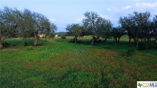 100 S Waterbuck Way, Lampasas, TX 76550