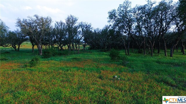100 S Waterbuck Way, Lampasas, TX 76550