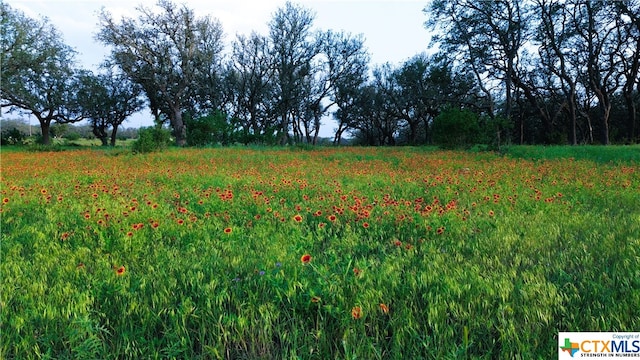 100 S Waterbuck Way, Lampasas, TX 76550