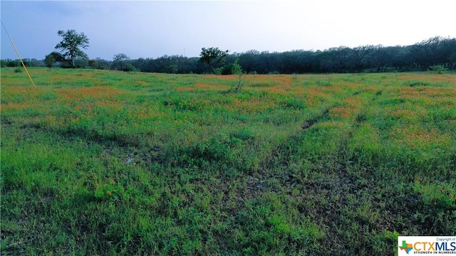 100 S Waterbuck Way, Lampasas, TX 76550 - photo 9
