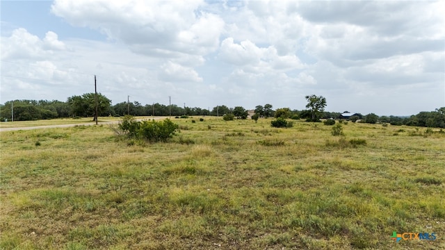 100 S Waterbuck Way, Lampasas, TX 76550 - photo 4