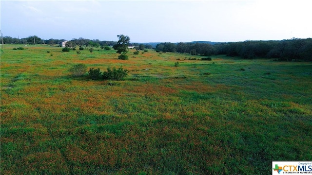100 S Waterbuck Way, Lampasas, TX 76550 - photo 10