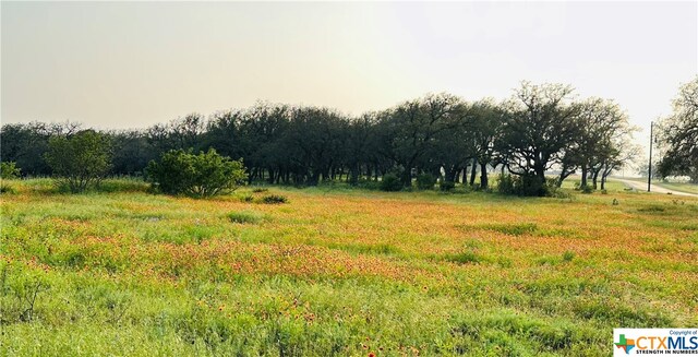 100 S Waterbuck Way, Lampasas, TX 76550