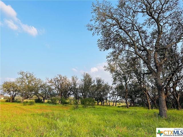 100 S Waterbuck Way, Lampasas, TX 76550