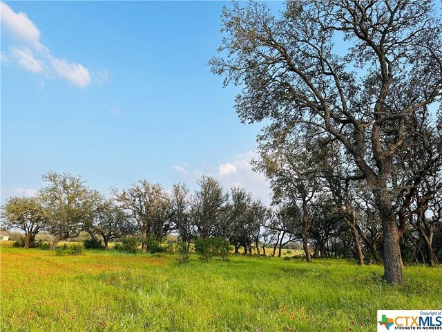 100 S Waterbuck Way, Lampasas, TX 76550 - photo 15