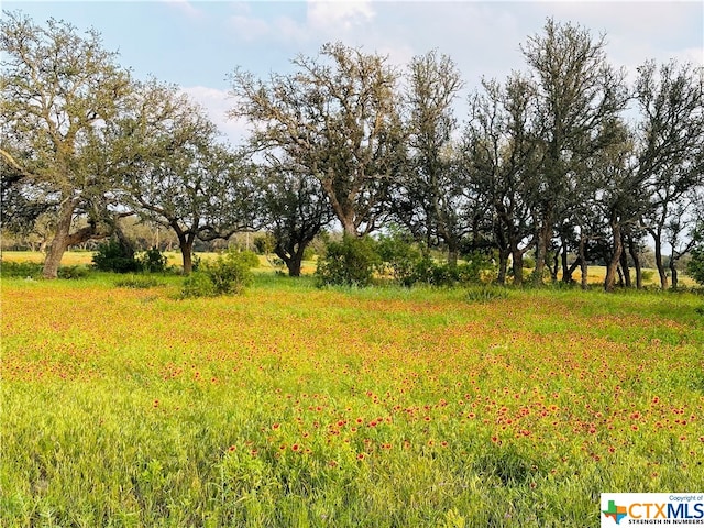 100 S Waterbuck Way, Lampasas, TX 76550