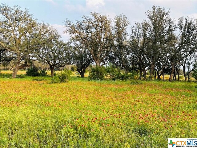 100 S Waterbuck Way, Lampasas, TX 76550 - photo 16