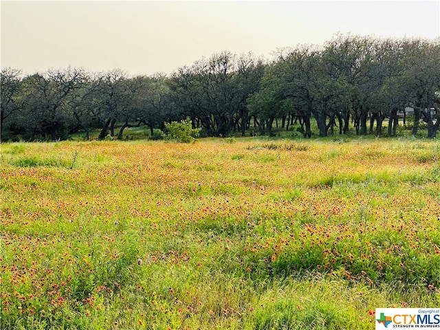 100 S Waterbuck Way, Lampasas, TX 76550