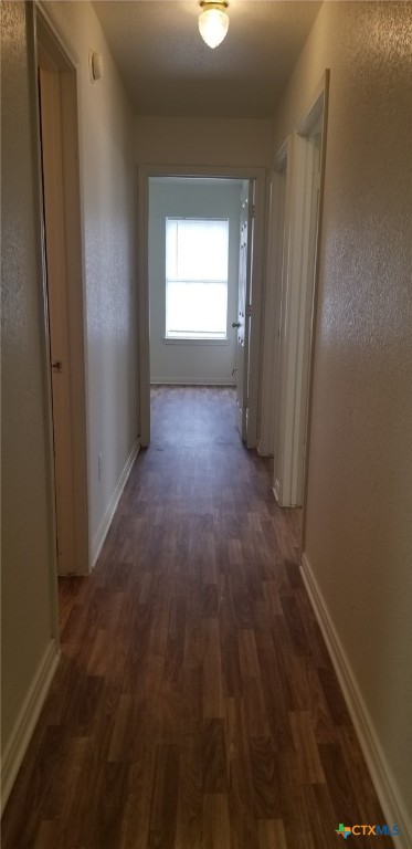 corridor with dark hardwood / wood-style floors