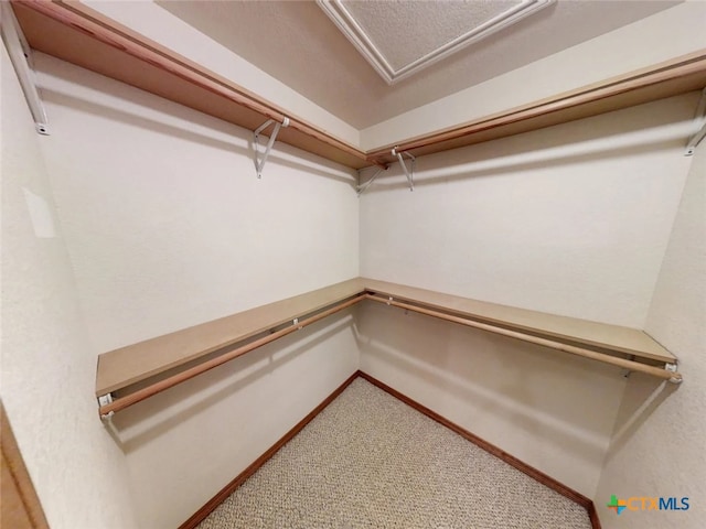 1260 Great Oaks Dr, Salado, TX 76571 - spacious closet with carpet