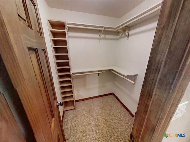1260 Great Oaks Dr, Salado, TX 76571 - spacious closet with carpet flooring