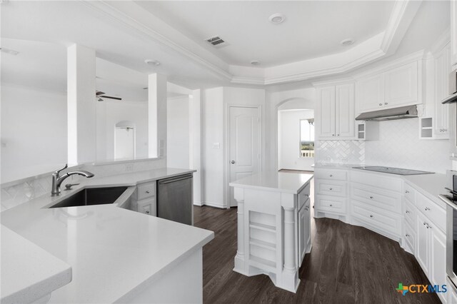 kitchen with stainless steel dishwasher, white cabinetry, sink, and a kitchen island