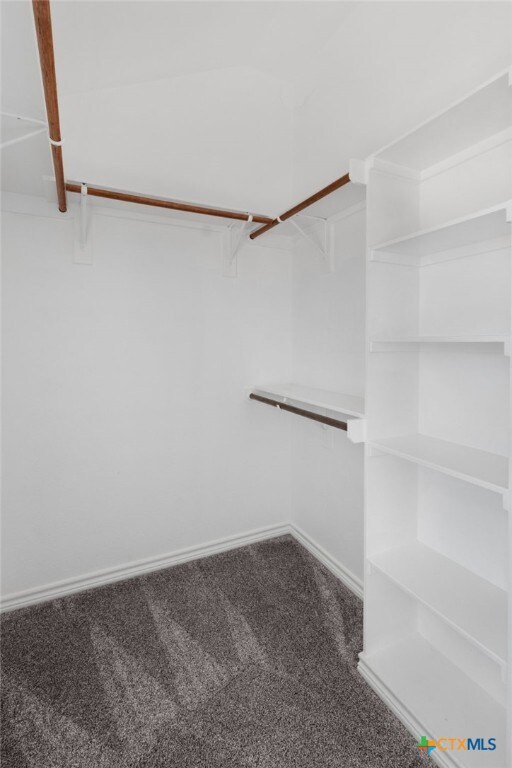 walk in closet with carpet floors