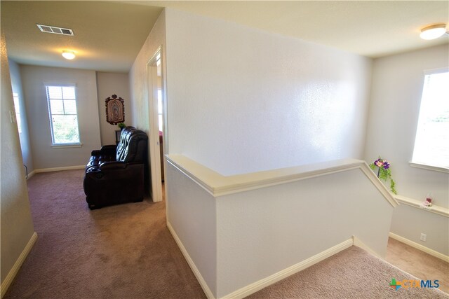 hallway featuring carpet flooring