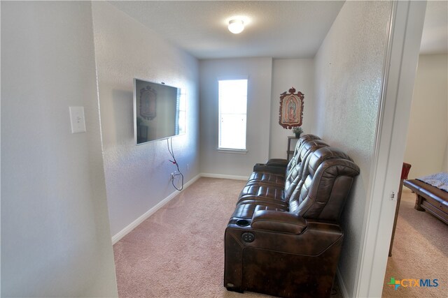 living room featuring light carpet