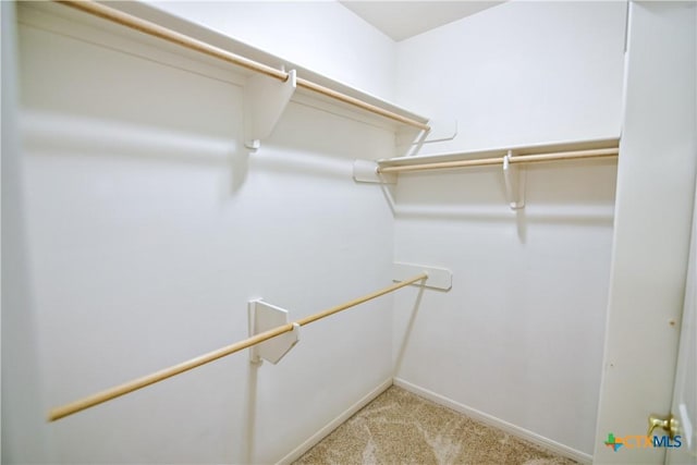 1802 N Vine St, Victoria, TX 77901 - walk in closet with light colored carpet