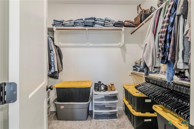 707 Winscott Ave, Temple, TX 76502 - walk in closet with carpet flooring