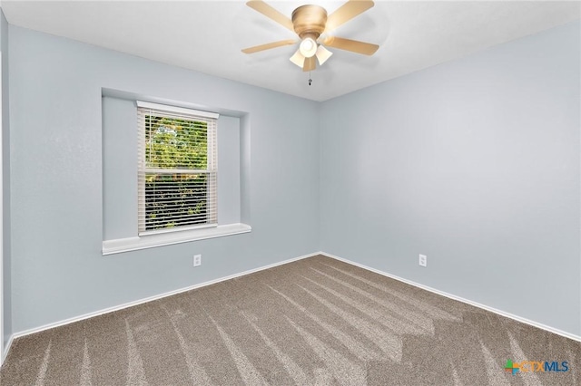 1006 Cresswell Dr, Pflugerville, TX 78660 - photo 25