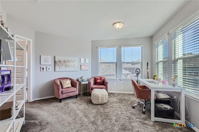 carpeted office space with a healthy amount of sunlight