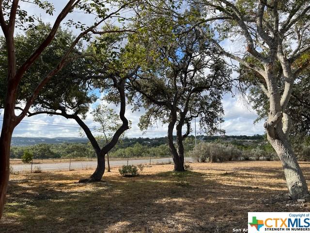 121 S Scenic Loop, Canyon Lake, TX 78133 - view of yard