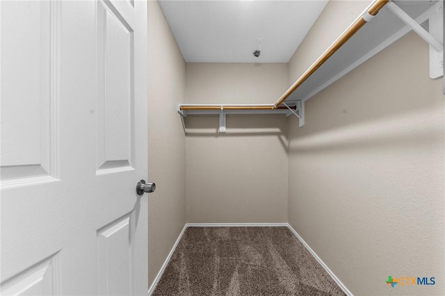 walk in closet with carpet floors