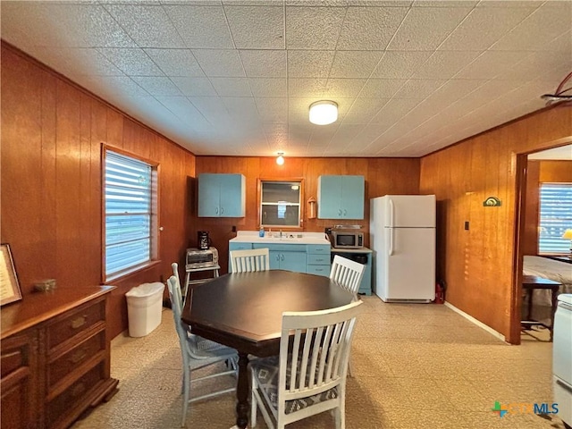 dining room with sink, a healthy amount of sunlight, and wood walls