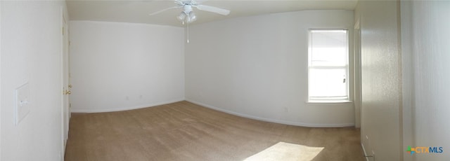 403 W Dale Ave, Nolanville, TX 76559 - photo 6