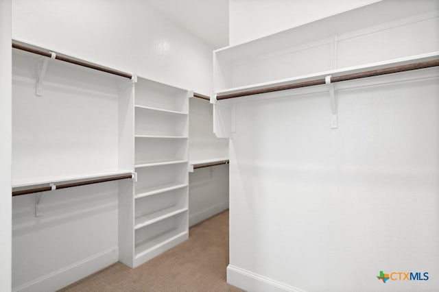 spacious closet featuring light carpet