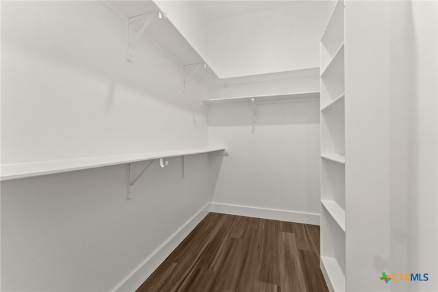 spacious closet with dark wood finished floors