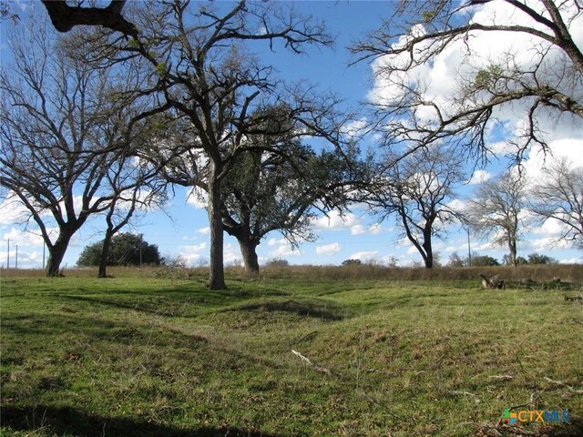 1296 Buffalo Creek Dr, Evant, TX 76525 - photo 16