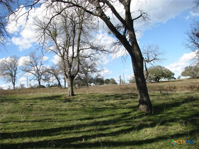 1296 Buffalo Creek Dr, Evant, TX 76525 - photo 15