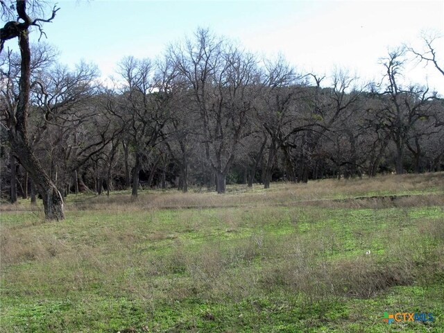 1296 Buffalo Creek Dr, Evant, TX 76525 - photo 18