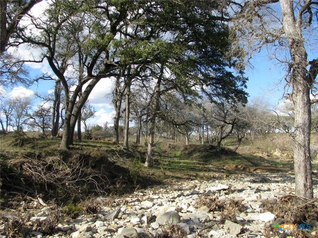 1296 Buffalo Creek Dr, Evant, TX 76525 - photo 8