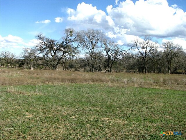1296 Buffalo Creek Dr, Evant, TX 76525 - photo 9