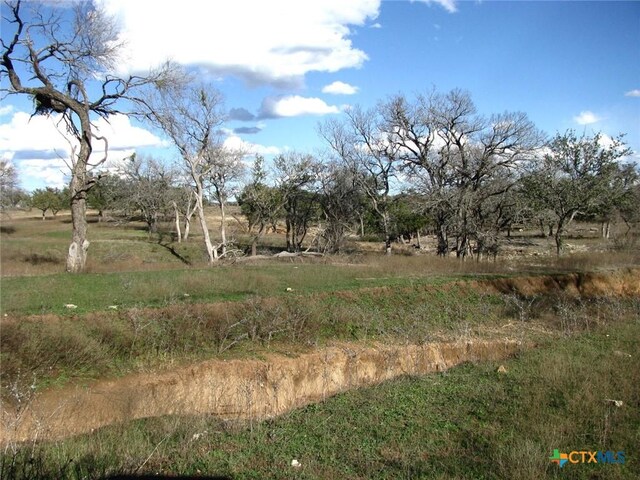 1296 Buffalo Creek Dr, Evant, TX 76525 - photo 17