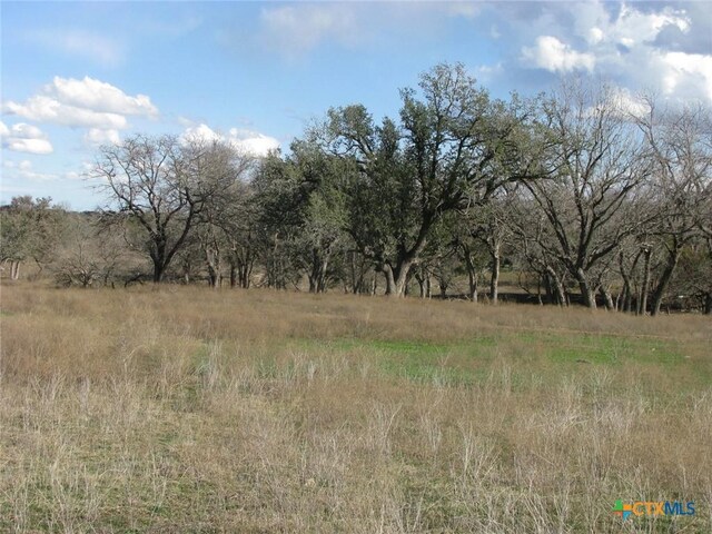 1296 Buffalo Creek Dr, Evant, TX 76525 - photo 11