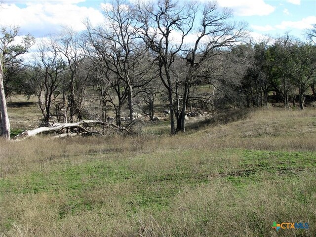 1296 Buffalo Creek Dr, Evant, TX 76525 - photo 19